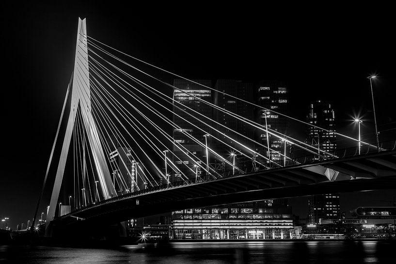 Erasmusbrücke von Albert Mendelewski