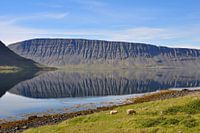 IJSland, Vestfjardavegur,  Mirror