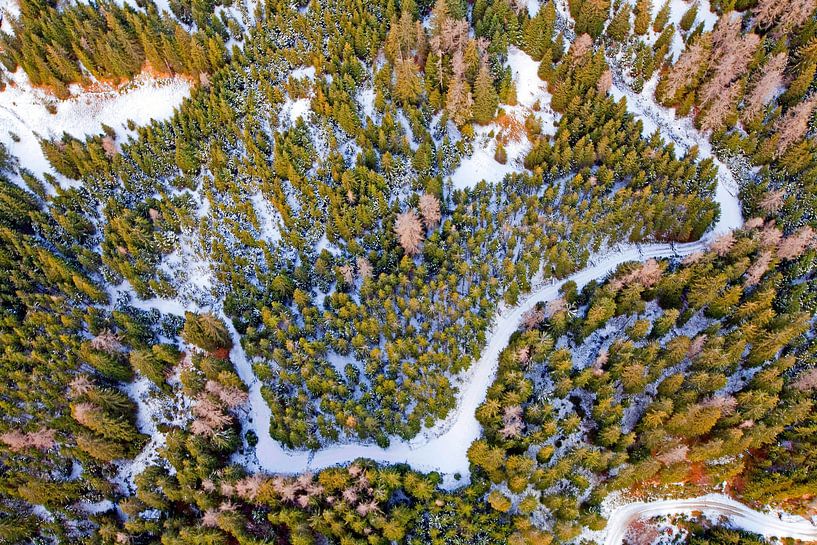 Tree - crowns - patterns in the snow by Christa Kramer