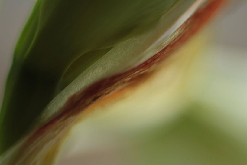 Wellen der Farbe von Wendy Schellekens