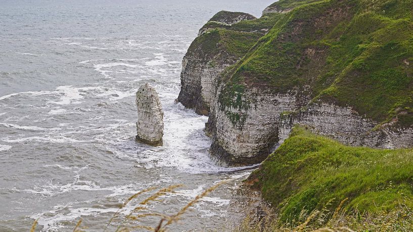 Flamborough Cliffs van Babetts Bildergalerie