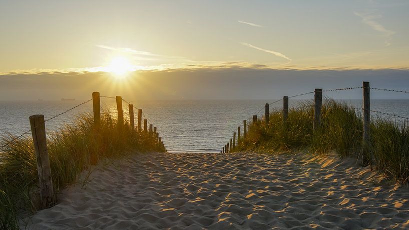 Dünen, Strand und Meer von Dirk van Egmond