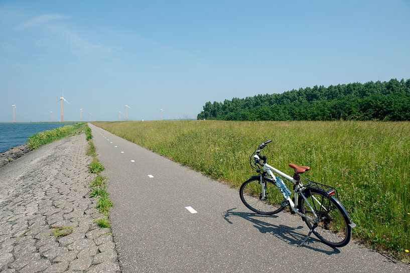 Oostvaardersdijk, par Richard Wareham