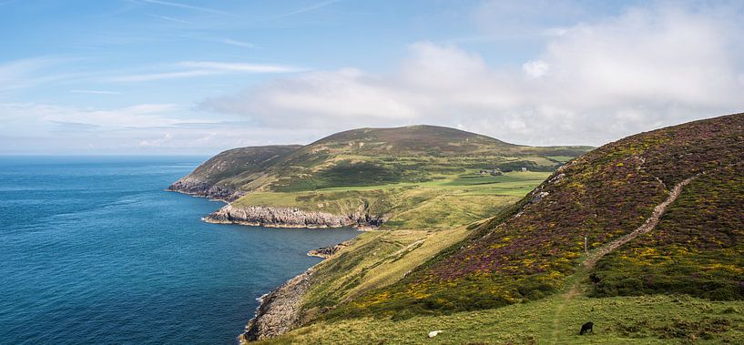 Zicht op de rotskust op The Wales Coast Path, fotoprint van Manja Herrebrugh - Outdoor by Manja