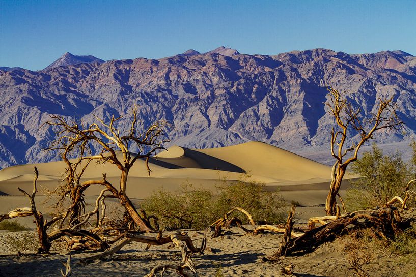Mesquite Flat Dunes in Death Valley van Easycopters