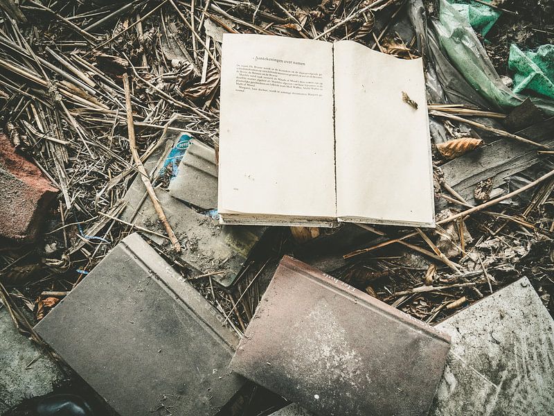 la fin du livre par Martijn Tilroe