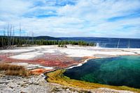 YELLOWSTONE NATIONAL PARK -  USA