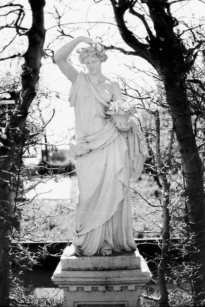 La statue dans l'allée des hêtres par Iris Fitsch