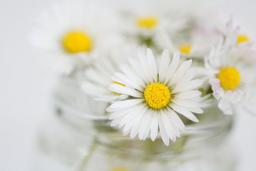 For You by Carla Mesken-Dijkhoff