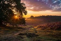 Fairy tale landscape