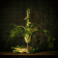 Nature morte du fenouil