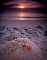 jewel in the caribbean 1