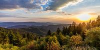 View from the Schliffkopf in the Black Forest National Park