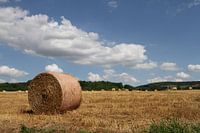 Zomer in de Provence