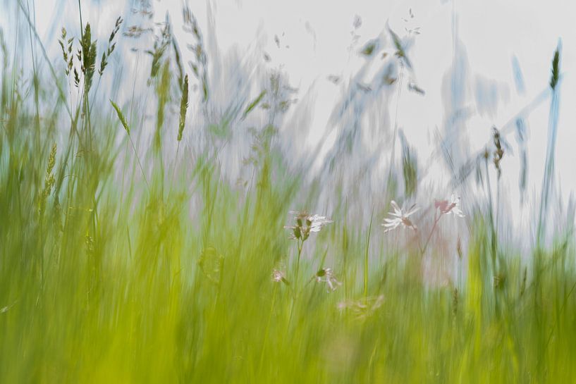 Printemps par Jose Gieskes