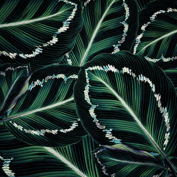 TROPISCH GROEN BLADEREN PATROON-2 van Pia Schneider