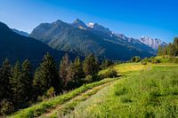 Chemin de randonnée à travers la Basse-Engadine (Grisons, Suisse)