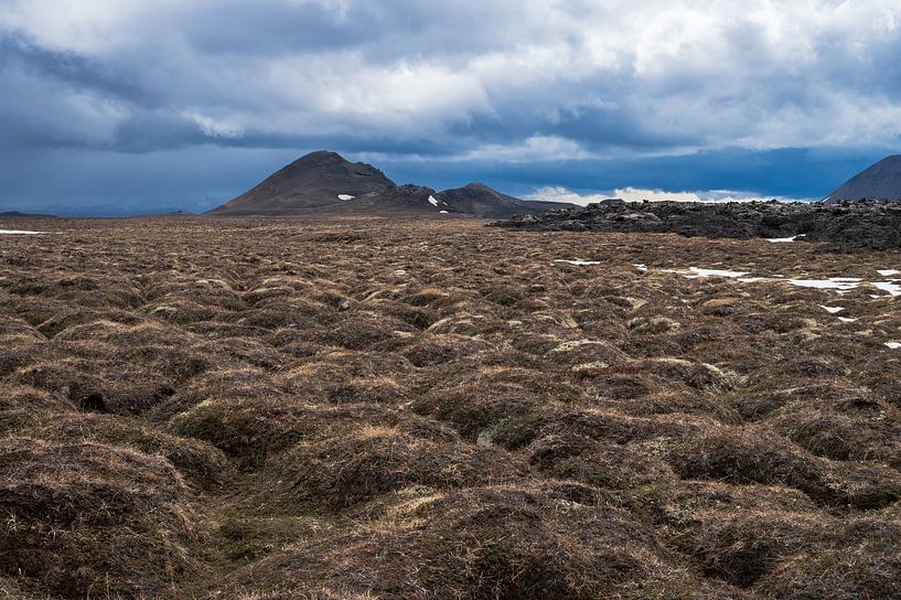 Lava landscape in northern Iceland by Tim Vlielander