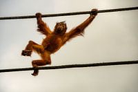 Auf dem Weg nach oben!