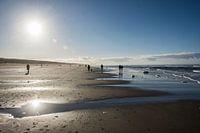 Egmond aan Zee Hintergrundbeleuchtung