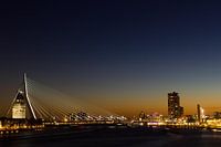 Lebendiges Rotterdam