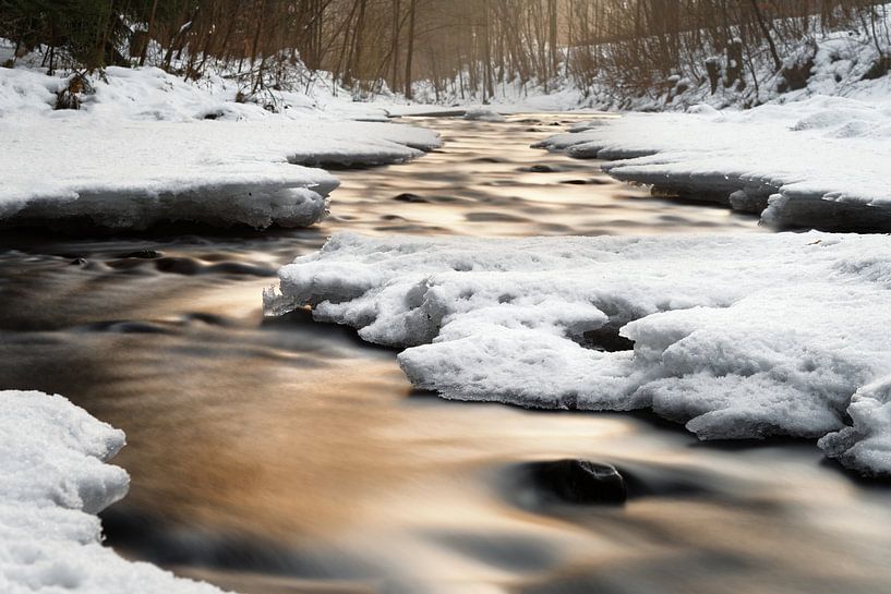 Wild Weisseritz by Ralf Lehmann