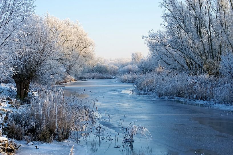 Winter in De Biesbosch par Reinier van de Pol