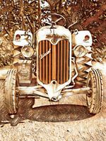 Traktor Hürlimann im Fairy Style