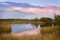 Drentse ven onder mooie wolken