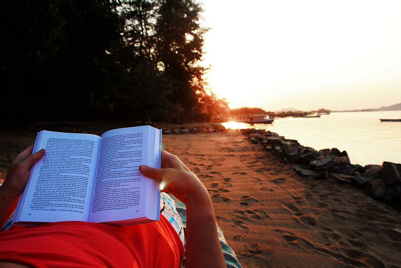 Ferienbuch von Marije Zwart