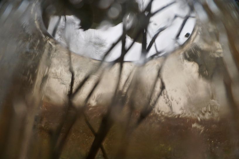 Soft nature by YVON Bilderbeek