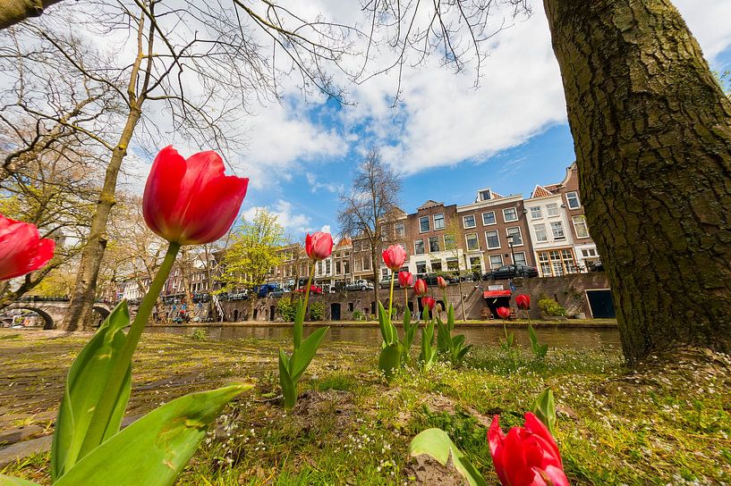Oudegracht mit Blick auf den Domturm, Utrecht von Martien Janssen
