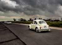 Beetle rolling