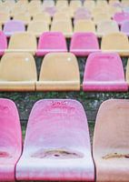 Natuurtheater Oisterwijk, close-up