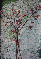 Cynorrhodons - Quelque chose pousse.....