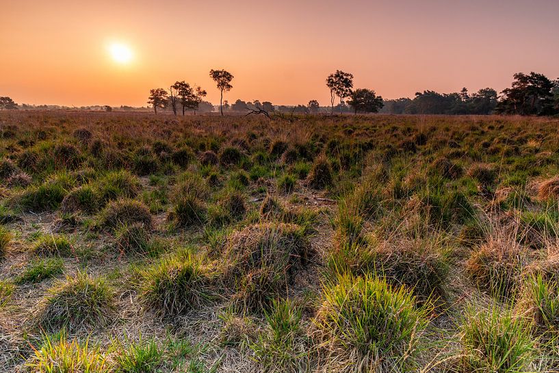 Landscape_01 by Johan Honders