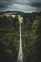 Jongen op een grote hangbrug in de natuur