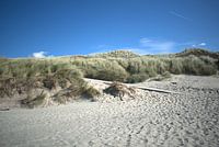 Dune crossing Vlissingen beach