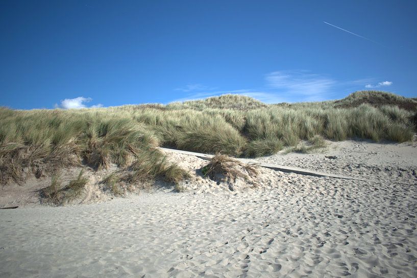 Dune crossing Vlissingen beach by Mariska de Jonge
