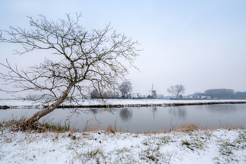 Molen De Korenbloem par Moetwil en van Dijk - Fotografie