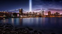 Inoubliable 9-11