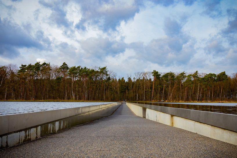 Cycling through the water by Johan Mooibroek
