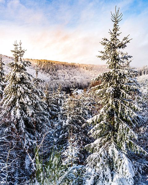 Winter im Westen von Joris Machholz