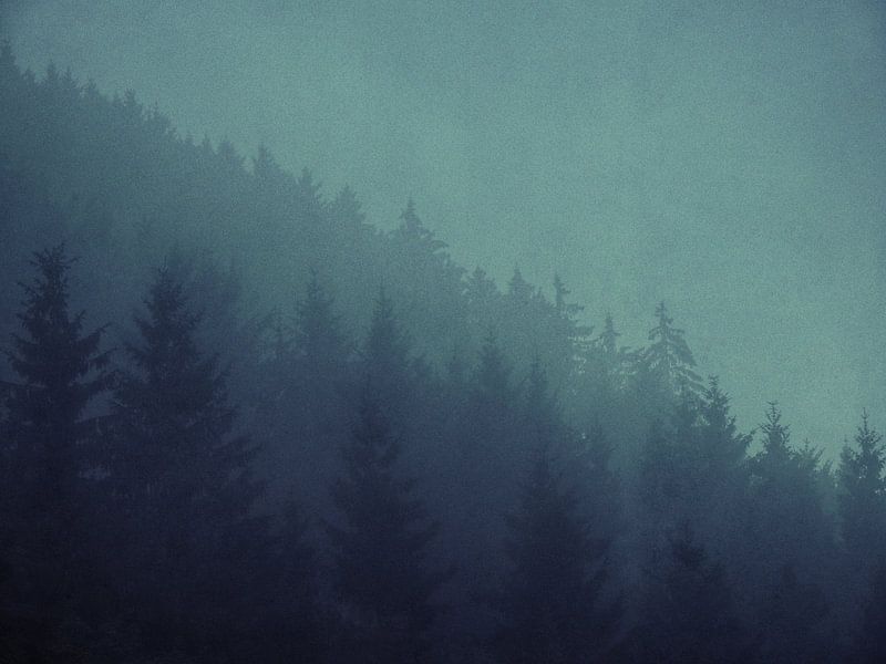 The gloom von Aart Lameris