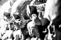 Skull of the Catacombs of Paris