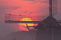 Moulin au lever du soleil.