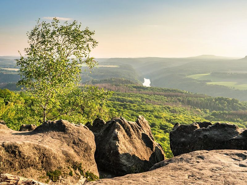 Kipphornaussicht, Sächsische Schweiz - Elbtal und Hoher Schneeberg von Pixelwerk
