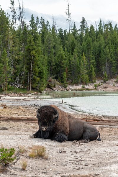 Parc national de Yellowstone par Studio Retouched fotoshop