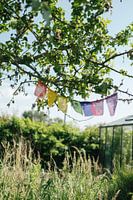 Gebetsfahnen 7 Chakras