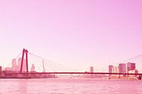 Rotterdam - Willemsbrug en omgeving - in rode tinten
